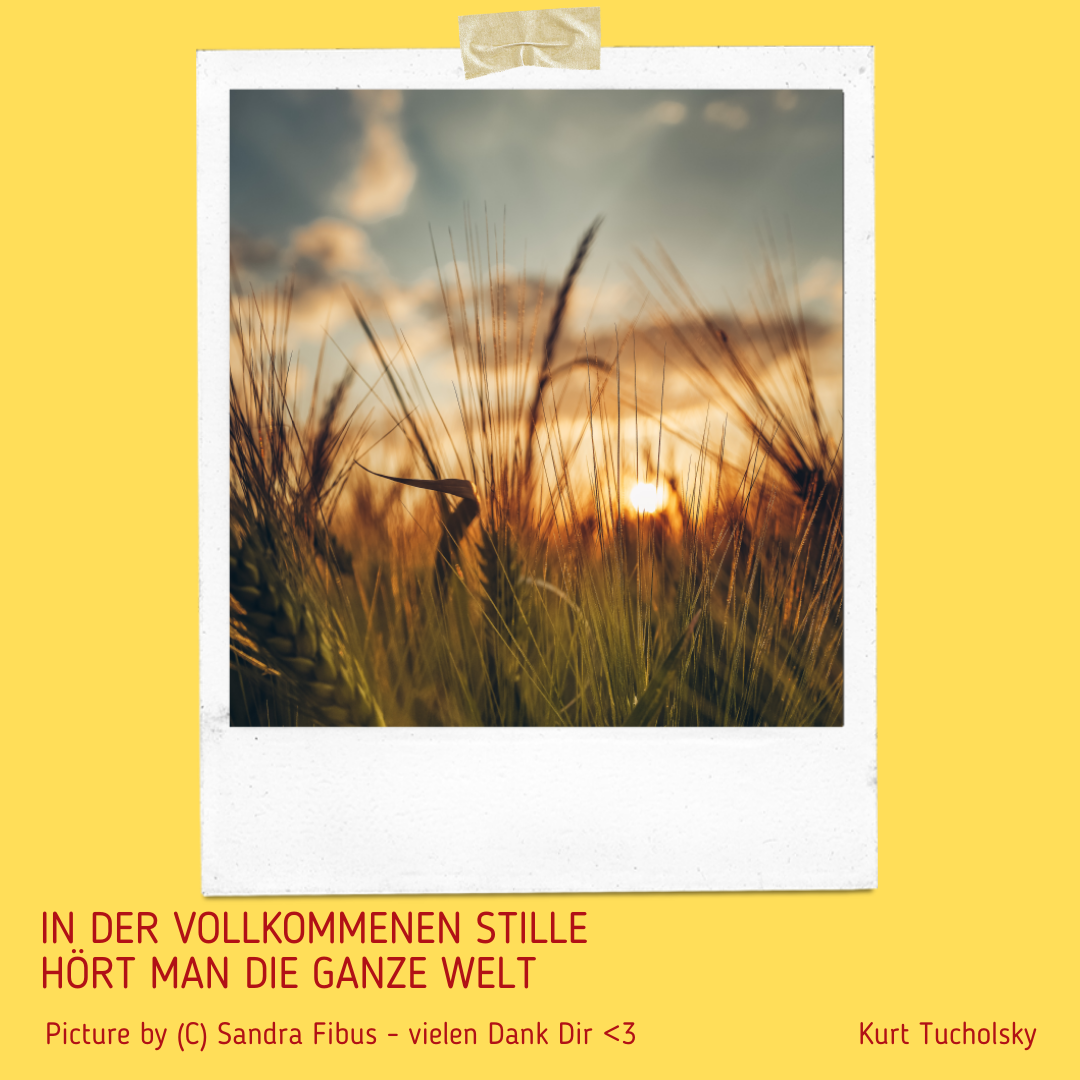 Beitragsbild